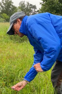 Thomas Braun vom Haus der Natur – Biologische Station im Rhein-Kreis Neuss e.V. erläutert die Vielfalt der Blütenpracht auf der Wiese. | Foto: LAGA GmbH