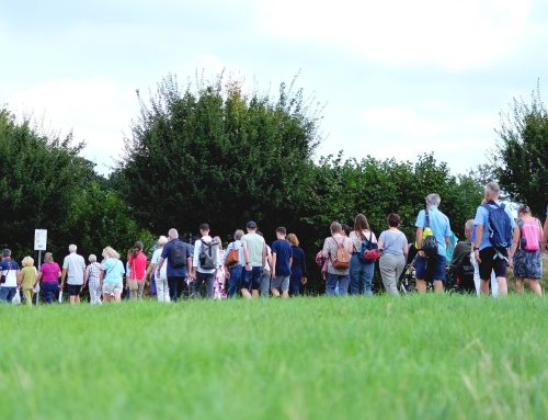 Foto des Monats August: Parksommerfest Neuss