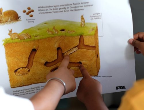 Landesgartenschau beteiligt Kinder bei der Planung ihrer Spielplätze