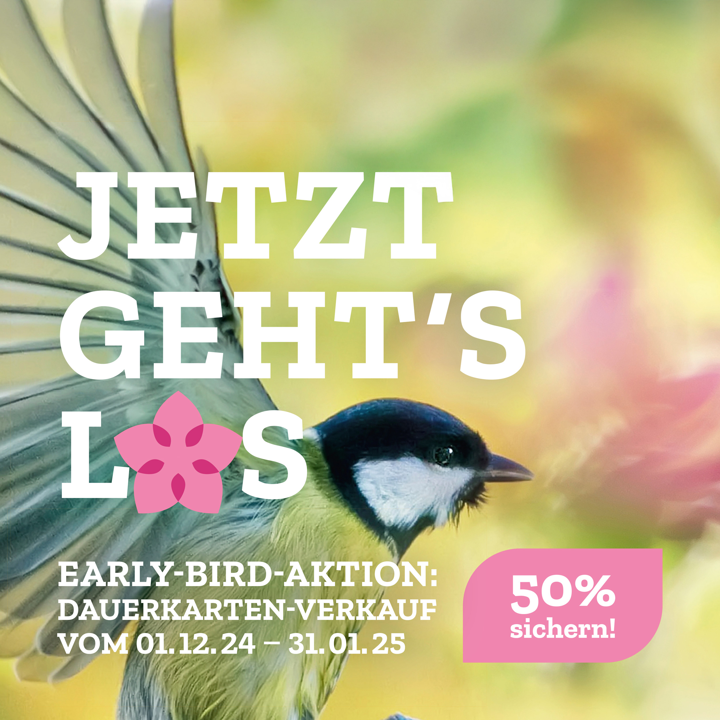 Bis zum 31. Januar 2025 können Dauerkarten für die Landesgartenschau Neuss 2026 mit 50 Prozent Vorverkaufsrabatt erworben werden.